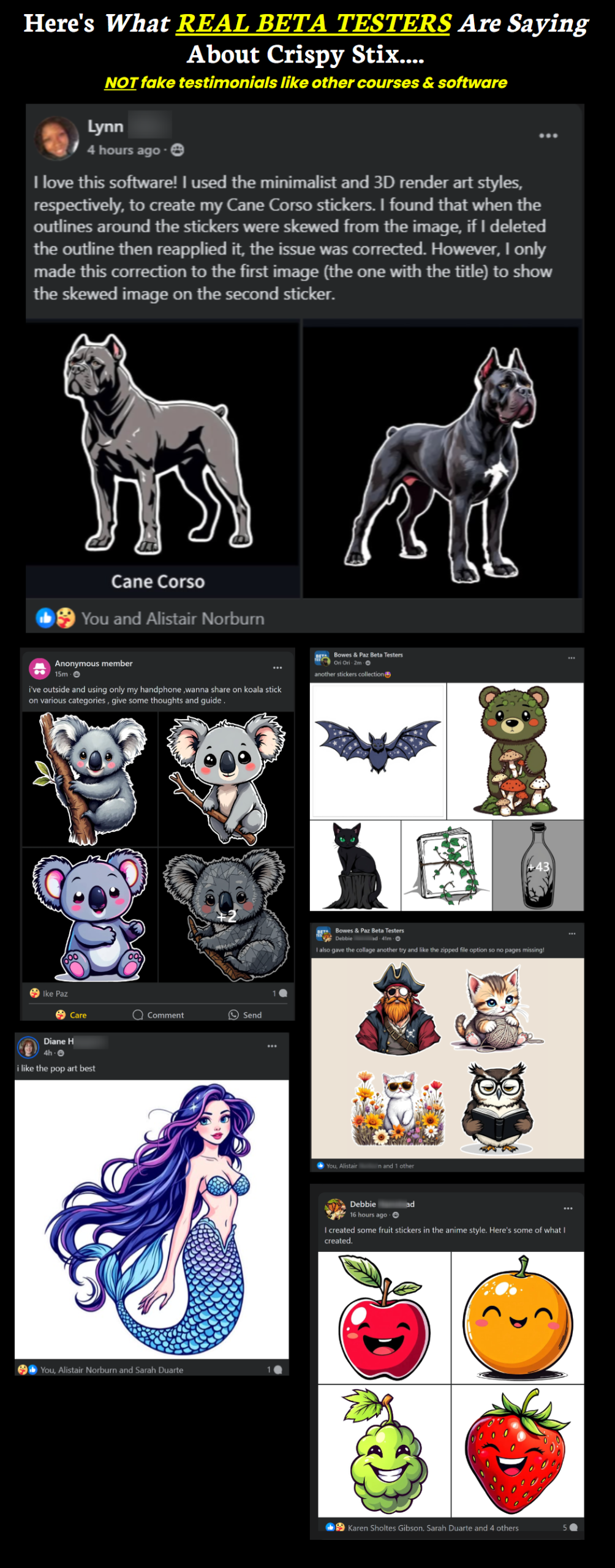 Crispy Stix Review: Easy Sticker Maker for Passive Income 20 Crispy Stix Feedbacks